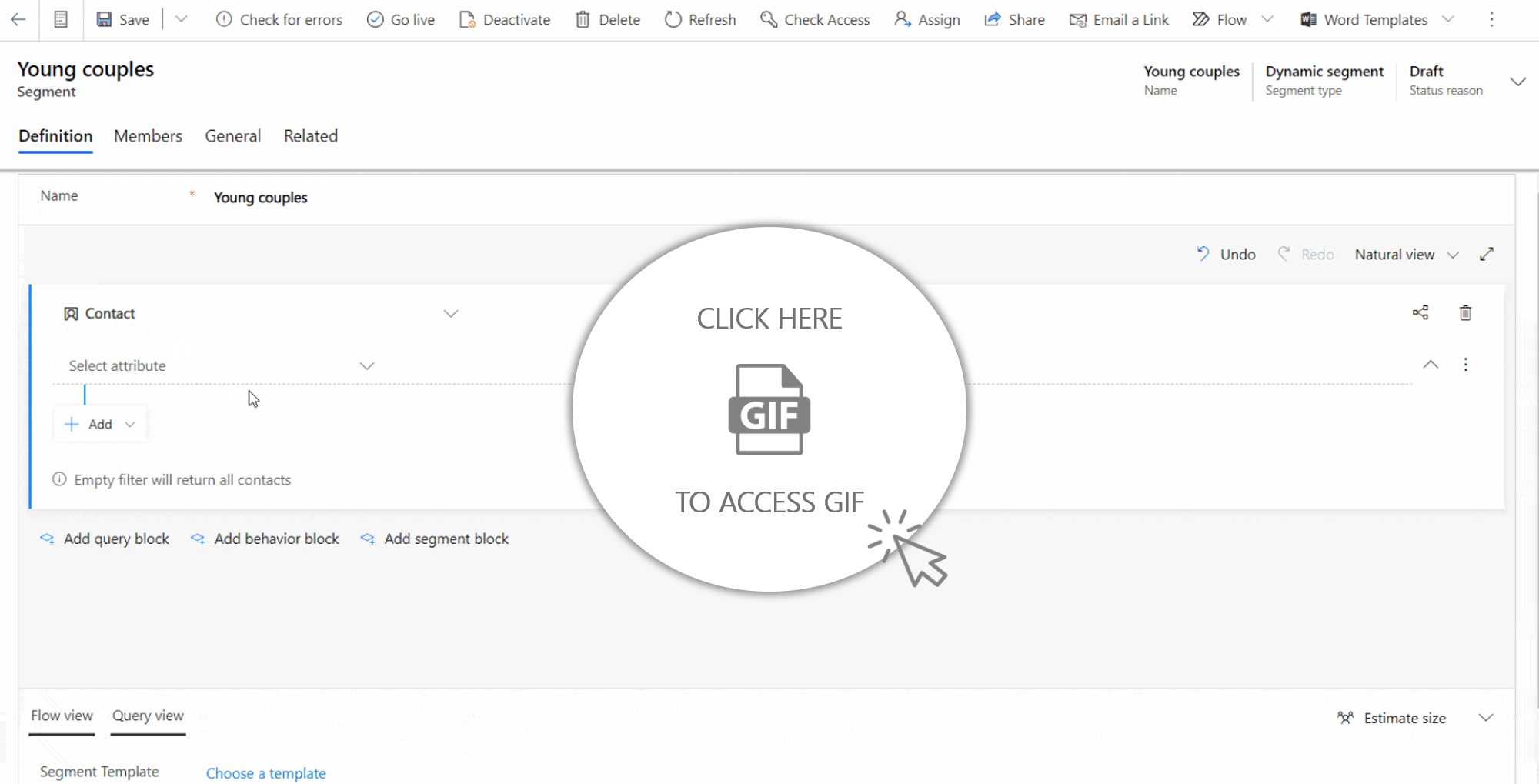 Dynamics Marketing Segmentation