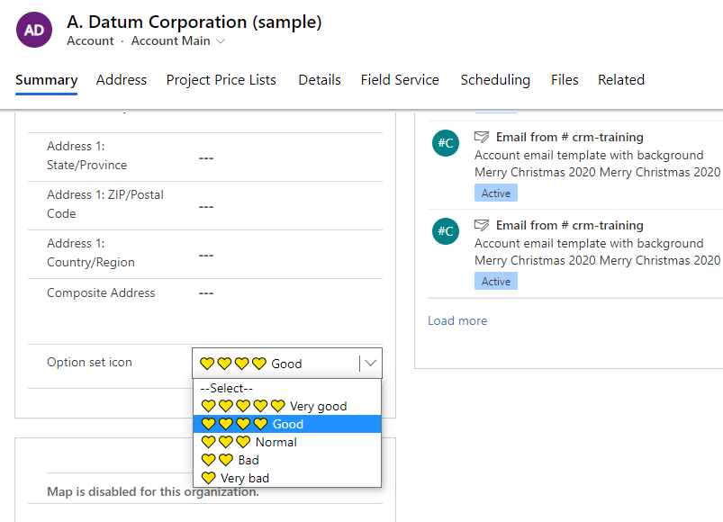 Dynamics 365 Use icon in option set label